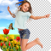 Changeur de fond automatique icon