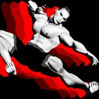 Fighter : Clash of kung fu , karate and kickboxing