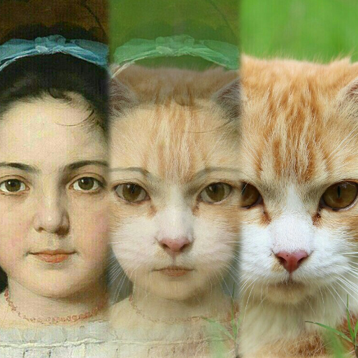 Zooface - GIF Animal Morph أيقونة