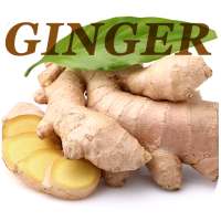 Health Benefits Of Ginger on 9Apps