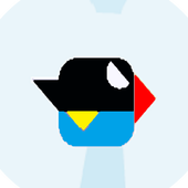 Crazy Bird icon
