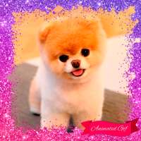 Puppy Dog GIF Photo Frames on 9Apps