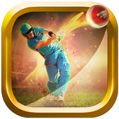 Cricket Multiplayer 2017 icon