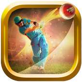 Cricket Multiplayer 2017
