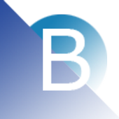 BITA Group icon