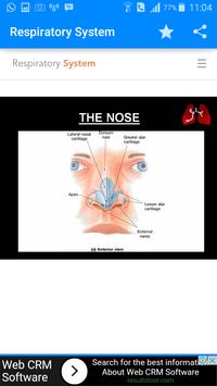 Respiratory System screenshot 4