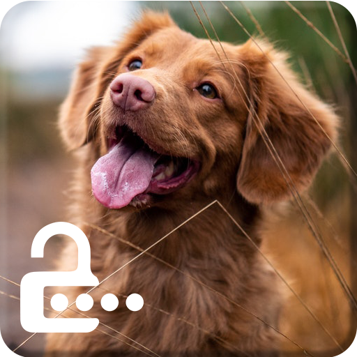 Labrador Dog Retriever Puppy Theme Screen Lock icon