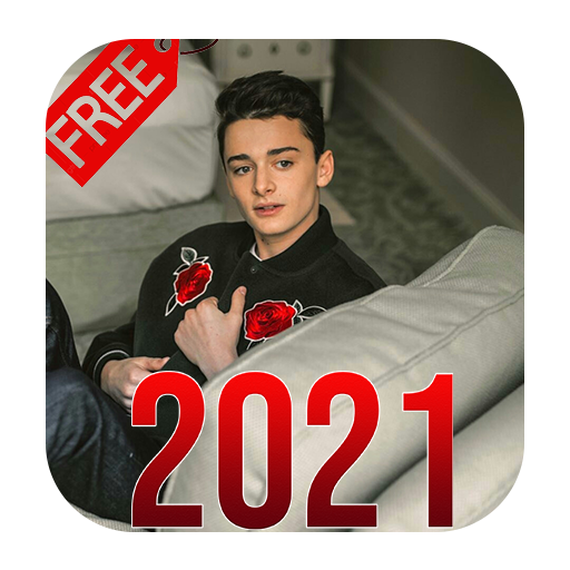 Noah schnapp wallpaper 2021 icon
