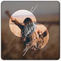 Creatvie Photo Art Editor