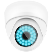 Hidden Camera أيقونة