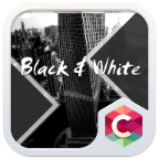 Black White Theme icon