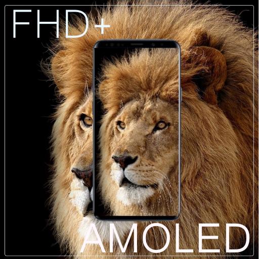Lion King AMOLED Wallpaper icon