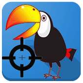 Birds Shooter