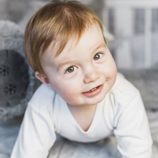 Baby Food: Recipes icon