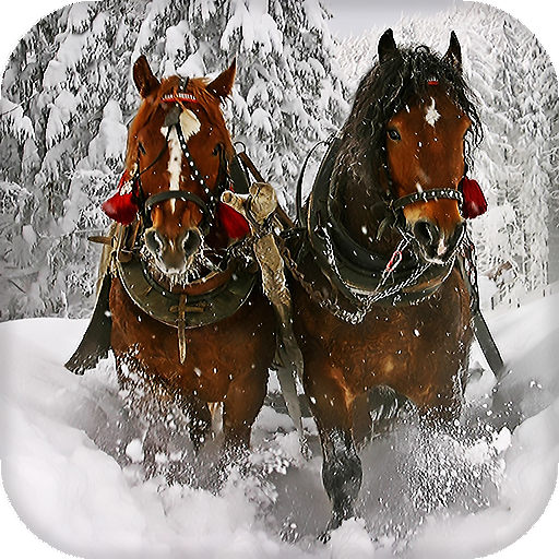 Horses Live Wallpaper - backgrounds hd icon
