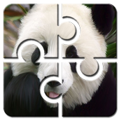 Panda Jigsaw Puzzle HD Free icon