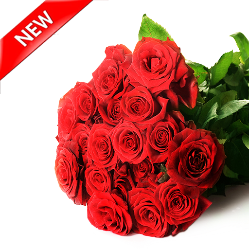 Rose Stickers for WhatsApp icon