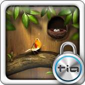 Tia Locker Ani Bird Theme on 9Apps