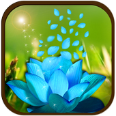 3D Flower Petal Wallpaper icon