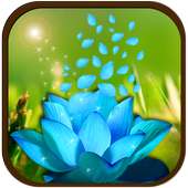 3D Flower Petal Wallpaper