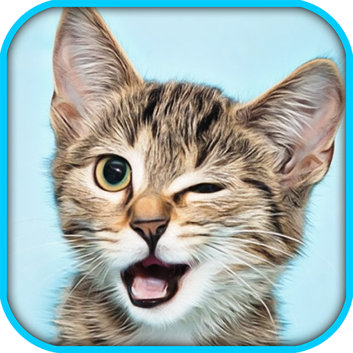 Cat Pet Simulator Online Sim icon