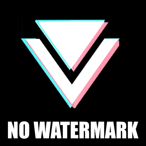 Video Downloader for TikTok Without Watermark 2021 icon
