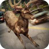 Caccia Al Cervo! Safari Corsa
