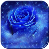 Blue Rose Love Romance Theme icon