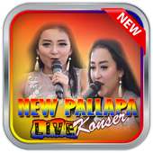 New Pallapa - Live Concert