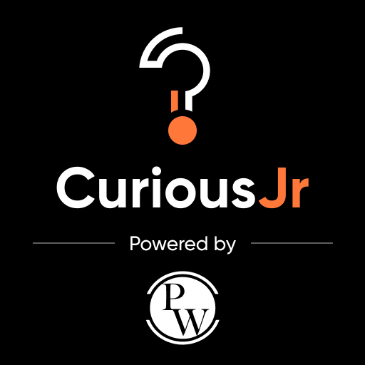 CuriousJr - Coding on Mobile icon