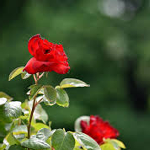 Mastercraft - New Crafting &amp; Building 2020 icon