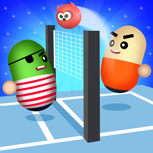 Volley Champion Hangout 3D Game icon