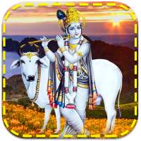 Lord Krishna Live Wallpaper on 9Apps