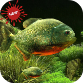 Piranha Live Video Wallpapers icon