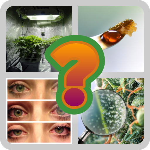 4 Pics 1 Word - Stoner Edition icon