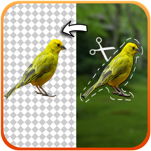 Cut Copy Paste Photo icon