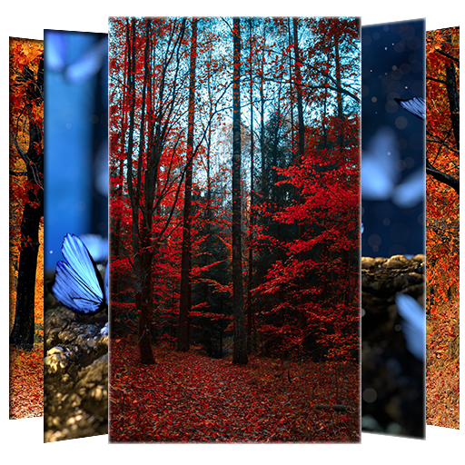 Forest Wallpapers and Backgrou icon