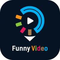Funny Video for Social Media & Entertainment