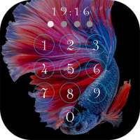 Betta Fish Wallpapers 2021