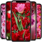 Flower Wallpapers HD on 9Apps