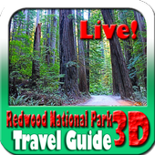Redwood National Park Travel Guide icon