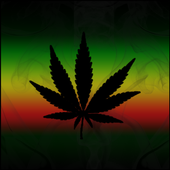 Rasta Live Wallpaper icon