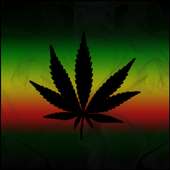 Rasta Live Wallpaper on 9Apps