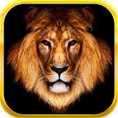 King Slots icon