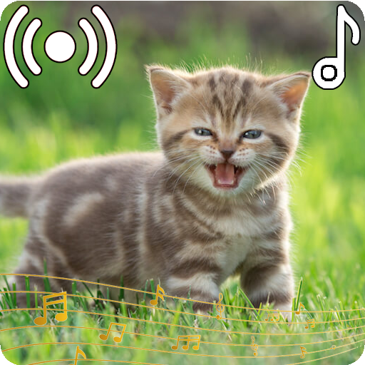 Cat Sounds Ringtone icon