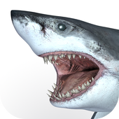 Talking Great White : My Pet Shark - Free icon