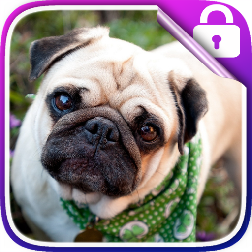 Pug Lock Screen icon
