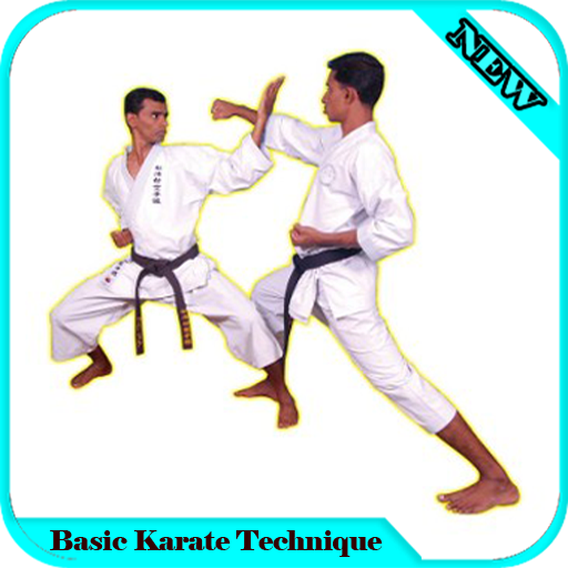 Basic Karate Technique icon