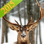 Deer Hunting Simulator icon