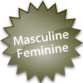 Masculine Feminine